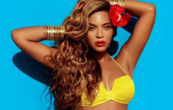 Picture singer, celebrity, Beyonce