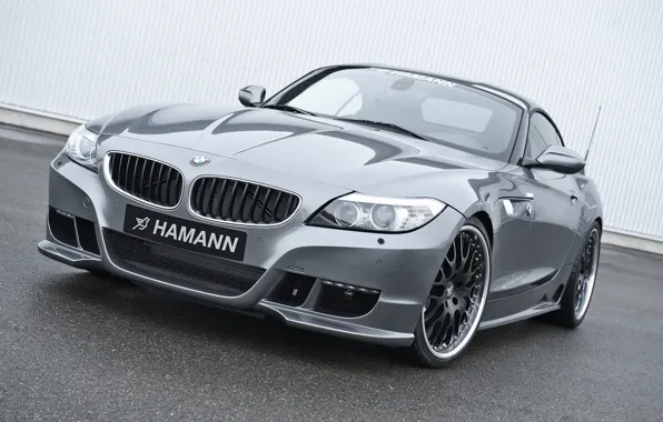 Picture grey, BMW, Roadster, Hamann, 2010, double, E89, BMW Z4
