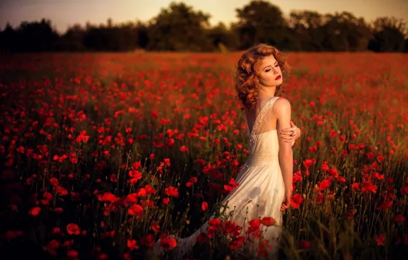 Picture field, girl, sunset, Maki, dress, Diana Sawicka