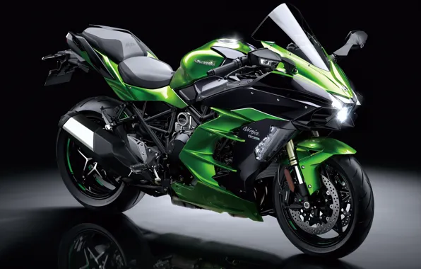 Picture green, Kawasaki, motorcycle, Ninja, Kawasaki Ninja H2 SX