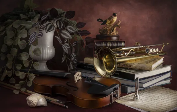 Music, violin, books, still life