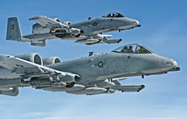 Pair, flight, A-10, stormtroopers, Thunderbolt II, The thunderbolt II