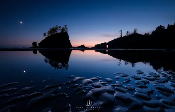 The sky, star, USA, photographer, Washington, Olympic National Park, Kenji Yamamura