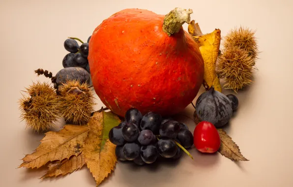 Autumn, leaves, berries, fruit, pumpkin, still life