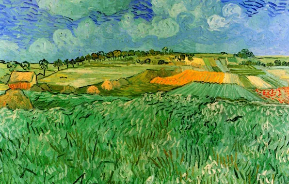 Field, Vincent van Gogh, Auvers, Plain Near