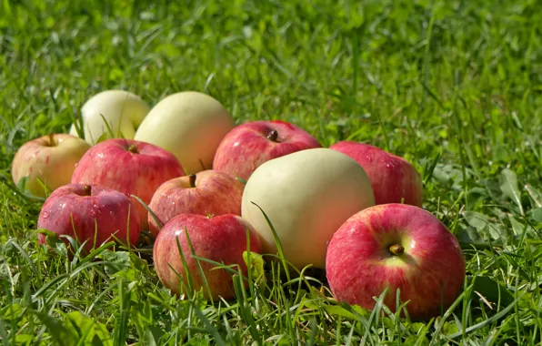 Picture greens, grass, glade, apples, fruit, wet