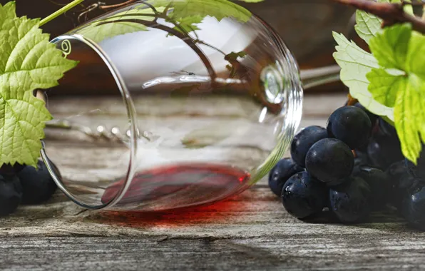 Glass, leaves, wine, red, Board, glass, grapes, alcohol