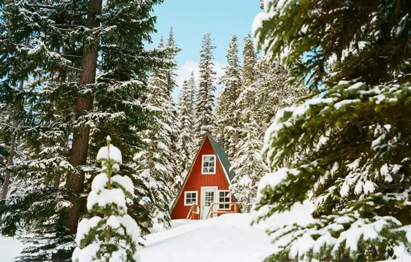 Nature, House, House, Nature, Winter Forest, Winter Forest, Snow Trees, Snow Trees