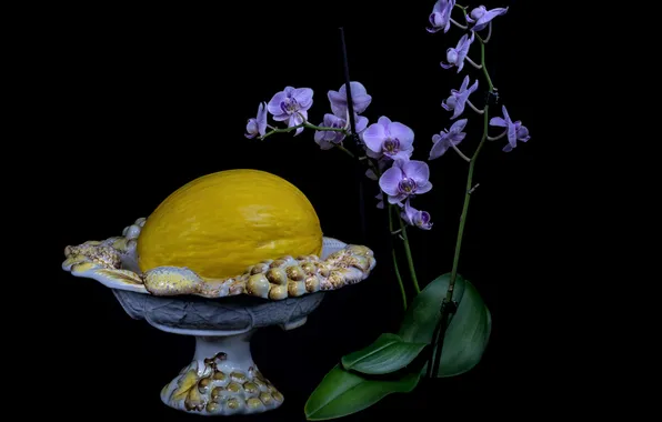 Still life, orchids, black background, melon, Antonello Maccioni