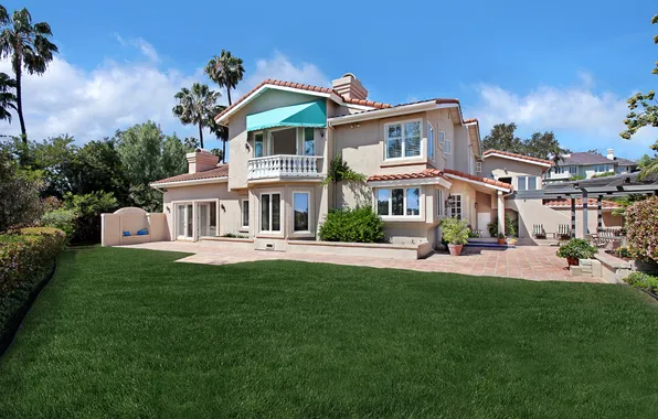Picture grass, trees, palm trees, home, mansion, the bushes