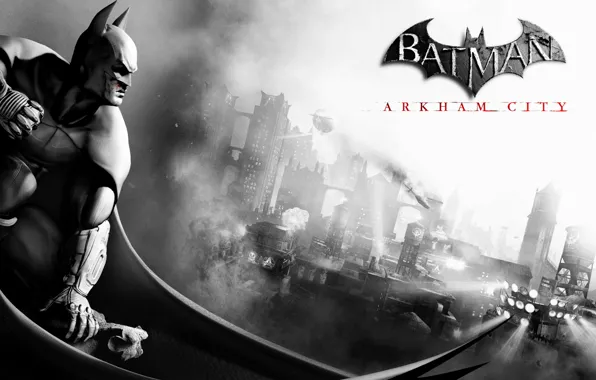 Picture the city, hero, bat, Batman Archam City
