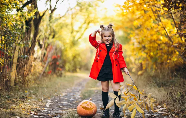 Road, autumn, look, leaves, nature, pose, Park, holiday