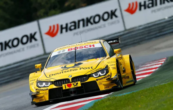 Picture grass, asphalt, yellow, bmw, BMW, track, the fence, the curb