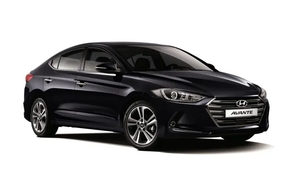 Wallpaper white background, Hyundai, Elantra, Hyundai, Elantra, Avante ...