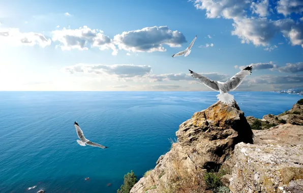 Picture clouds, rocks, seagulls, Crimea, The black sea