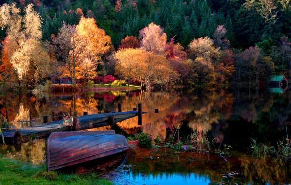 Picture autumn, forest, grass, leaves, landscape, nature, lake, boat