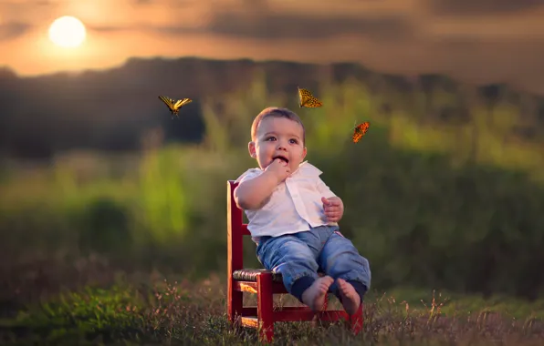 Picture sunset, butterfly, boy
