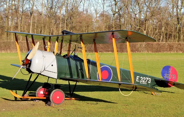 Field, grass, British, double, basic, Avro 504 Series, training aircraft, Avro 504 Series