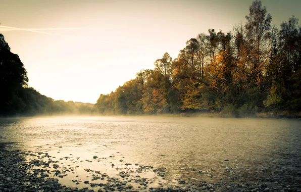 Picture autumn, forest, the sky, trees, landscape, nature, fog, river