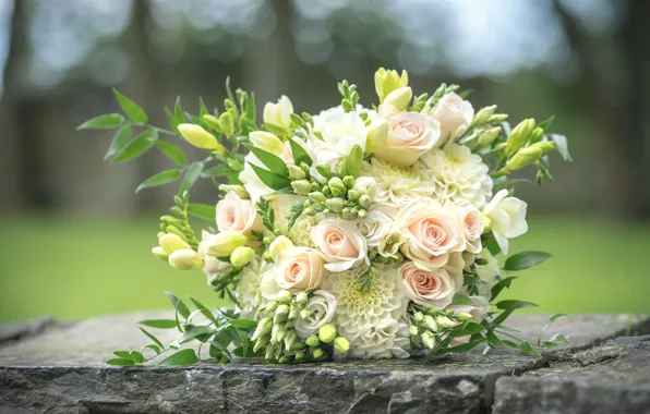 Picture roses, wedding bouquet, freesia, dahlias