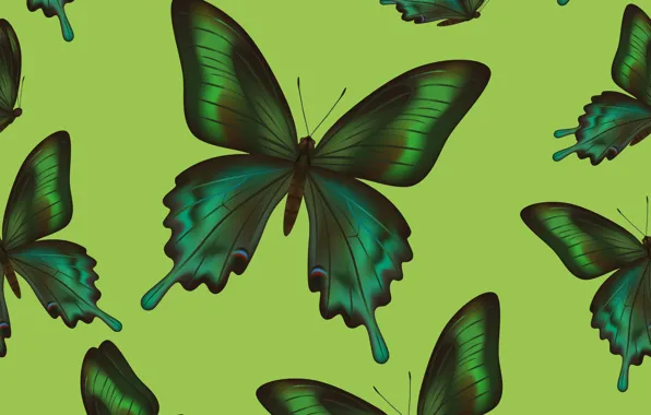 Butterfly, background, texture, texture, background, butterflies