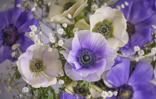 Macro, flowers, bouquet, white, lilac, bokeh, anemones, gypsophila