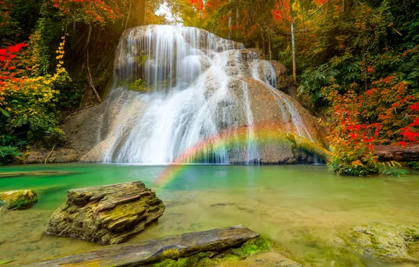 Picture autumn, forest, nature, waterfall, rainbow, stream