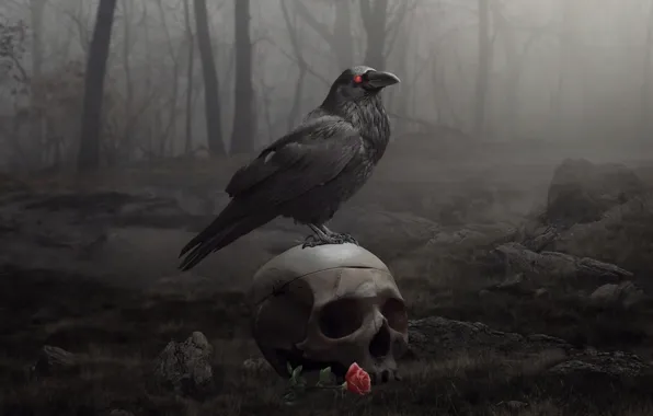 Forest, Gothic, bird, rose, skull, mystic, sake, rose
