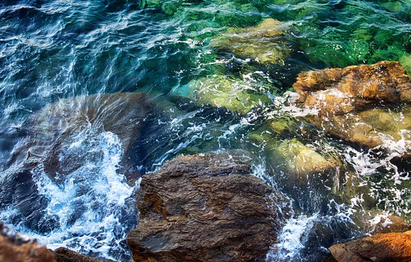 Sea, algae, stones