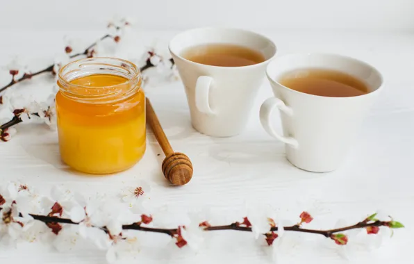 Flowers, Spring, Honey, Branch, Tea