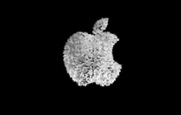 Picture apples, apple, fur, black background
