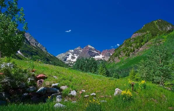 Picture forest, landscape, mountains, nature, glade