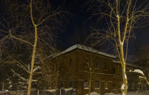 Picture winter, the sky, snow, trees, the evening, architecture, house, building