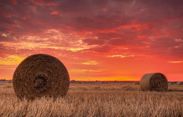 Field, sunset, hay