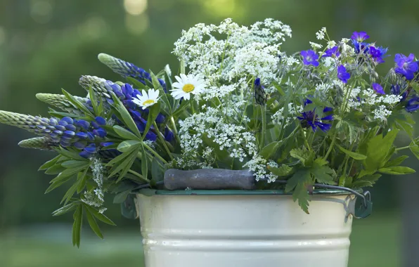 Summer, flowers, bucket