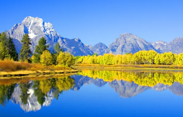 Picture forest, mountains, nature, river, Colorado