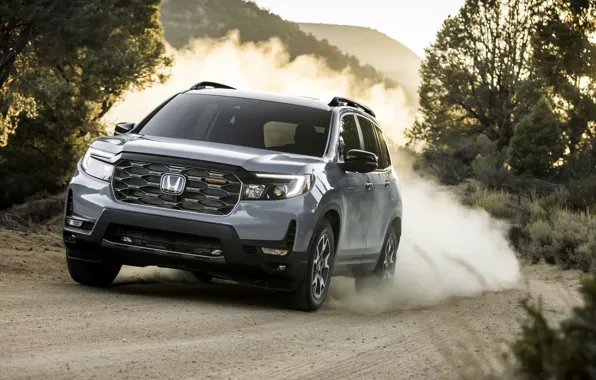 Trees, power, Honda, SUV, exterior, dirt road, Passport, 2022