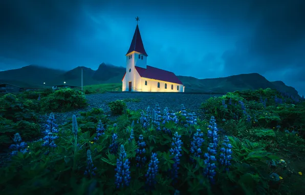 Field, summer, flowers, village, hill, Church, Iceland, lupins
