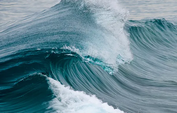 Picture sea, wave, the ocean
