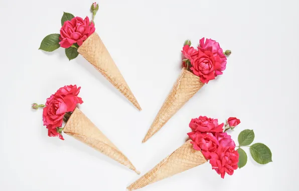 Photo, Flowers, Bud, Pink, Roses, Waffle cone