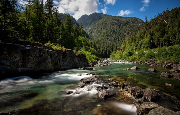 Forest, mountains, river, Canada, Canada, British Columbia, British Columbia, Vancouver Island