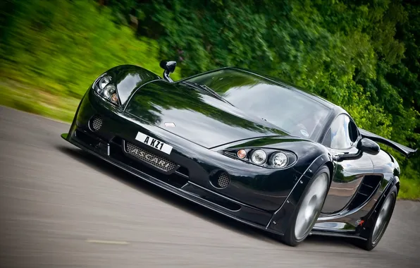 Road, forest, Ascari, KZ1