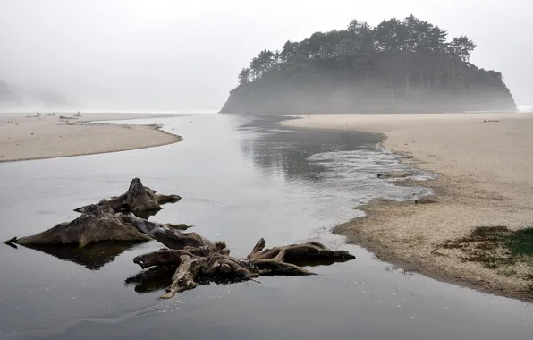 Sea, landscape, fog