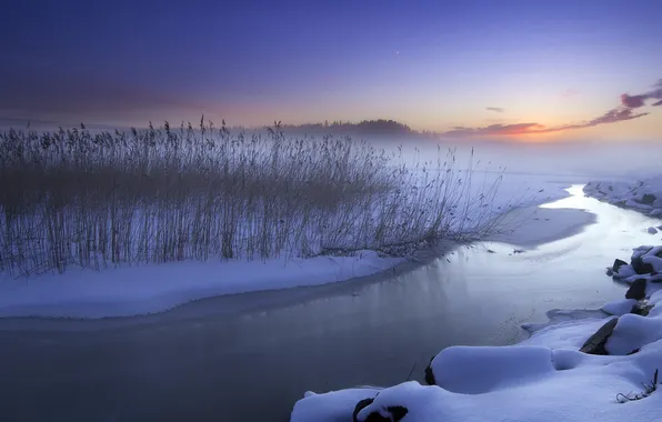 Picture winter, sunset, river, reed