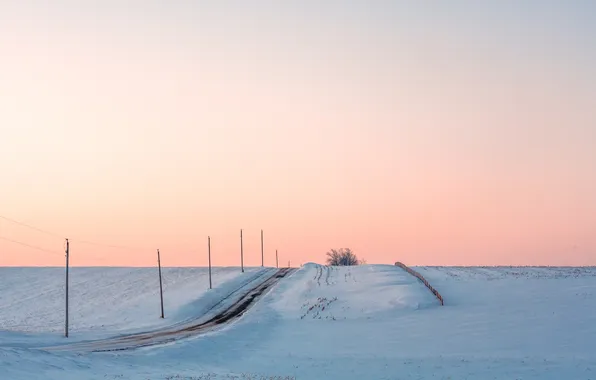 Winter, road, field, morning