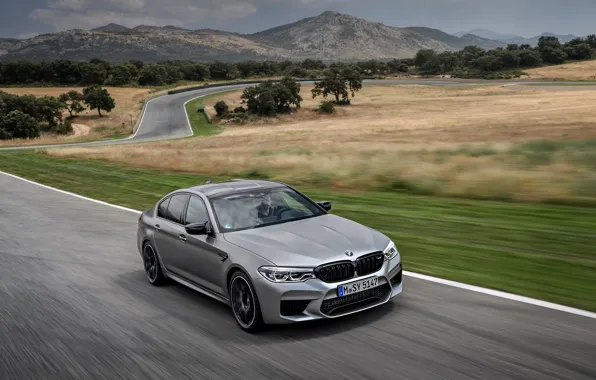 Grey, movement, vegetation, BMW, sedan, track, roadside, 4x4