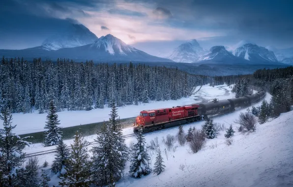 Winter, forest, snow, trees, mountains, river, train, Canada