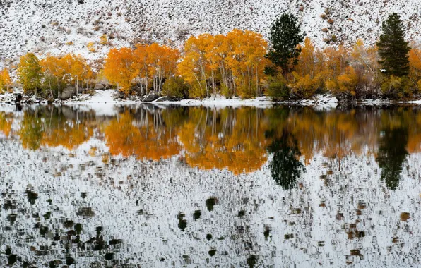 Picture California, refections, Fall Snow, Bishop Creek