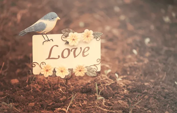 Leaves, flowers, nature, background, bird, Wallpaper, mood, love