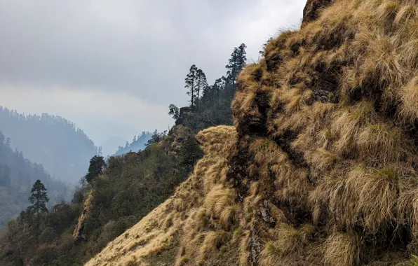 Mountains, Nepal, Nepal, pixel 7 pro sample photo, steep mountains, sheer slope, steep slope